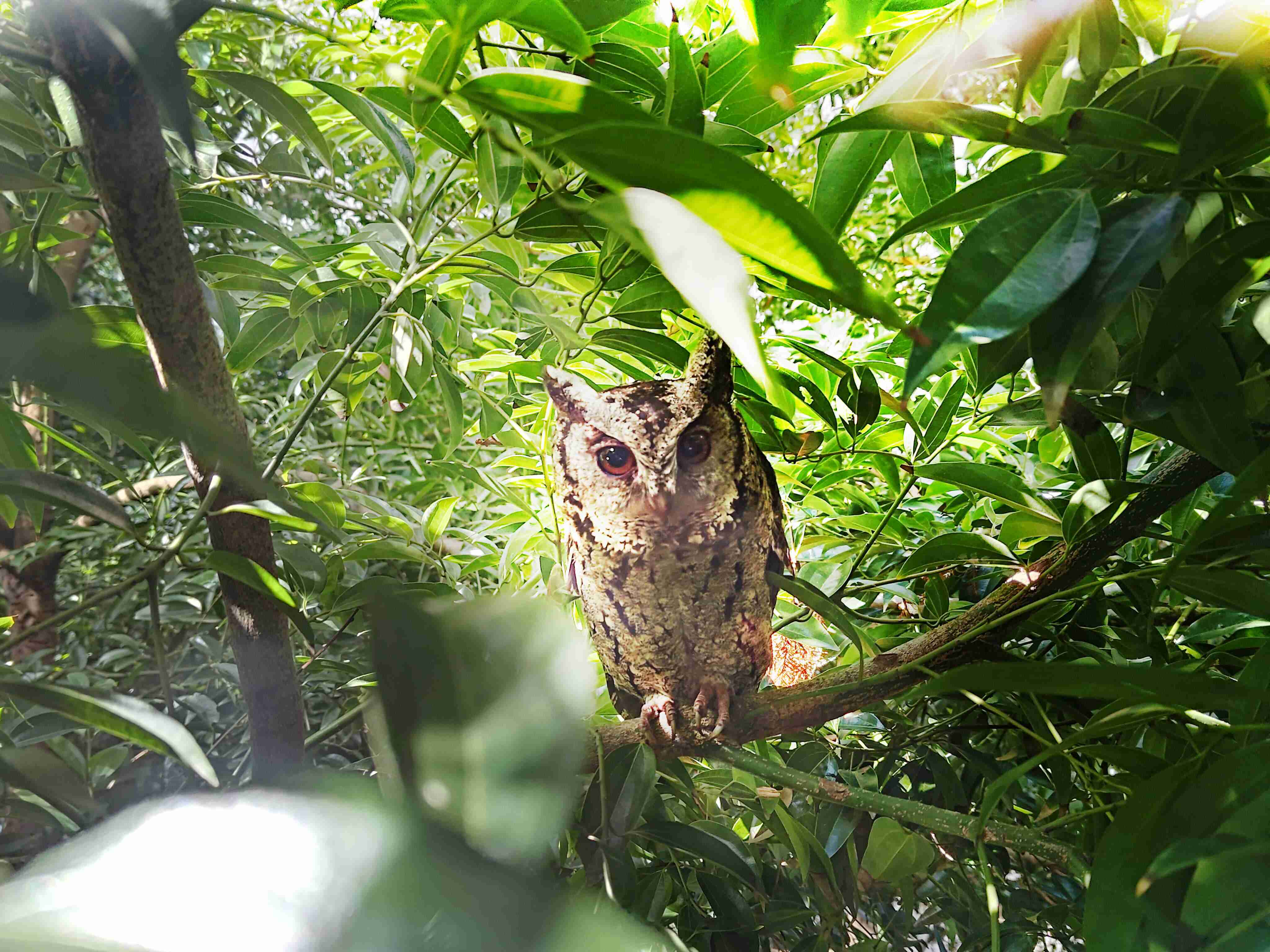PG国际致力提倡净零绿生活，，，，16年以来在全球各厂区植树逾百万棵，，，造就各厂区树木蔚然成林，，，犹如森林工厂，，成为许多生物的栖息地